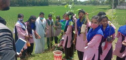 P.S.Mahila H.S.School,Nahanga (Plantation)
