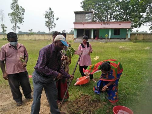 PANCHAYAT SAMITI MAHILA HIGHER SECONDARY SCHOOL, NAHANGA-6(Plantation)
